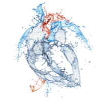 HEART TRANSPLANTATION